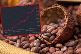 Czekoladowy kryzys. Brakuje ziaren kakao, których ceny szybują na rekordowe poziomy