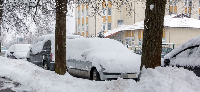 Sroga zima uderzy w Polskę nagle! Wrócą intensywne śnieżyce. Jest dokładna data
