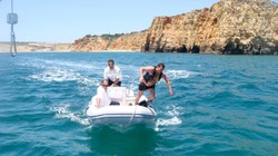 Tygrys pogromcą rekinów