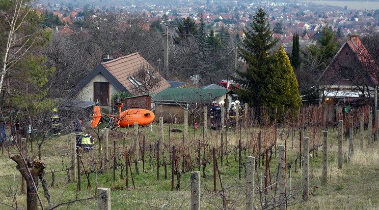 Repülő zuhant le Budaörsön egy család kertjébe /Fotó: MTI/Mihádák Zoltán