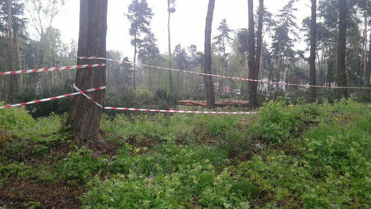 Prywatni właściciele żądają 16 milionów złotych za sprzedaż miastu Lasu Borkowskiego. Urzędnicy mają czas do 2 czerwca, aby odpowiedzieć na propozycję. Jeśli tak się nie stanie, wnioskodawcy mają przystąpić "do inwentaryzacji stanu zadrzewienia i sukcesywnej wycinki drzew".