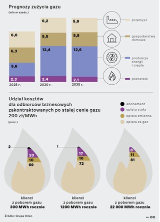 Prognozy zużycia gazu ( mln m sześć.)