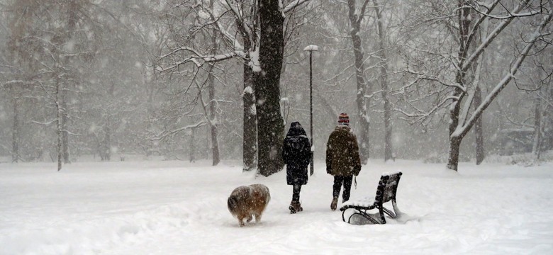 Zima nadejdzie z opóźnieniem. Najwięcej śniegu i mrozu pojawi się dopiero w tym miesiącu. Oto prognoza długoterminowa