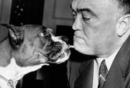 Edgar Hoover ze swoim psem, 1954 r.