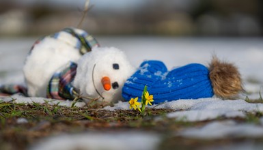 Niewiarygodna prognoza. Prawie 20 stopni Celsjusza w lutym. Oto data powrotu wiosny