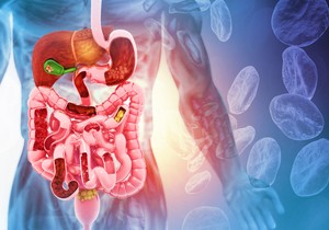 Veza između creva i jetre ima ključnu ulogu u patogenezi bolesti jetre povezane sa alkoholom