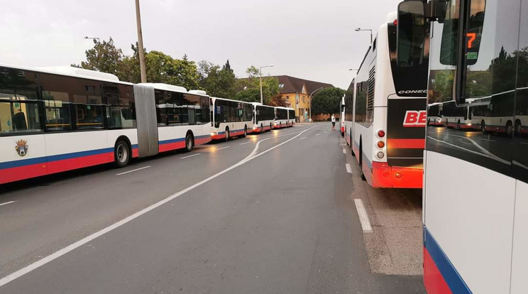 Szavazás indult az új menetrenddel kapcsolatban Székesfehérváron / Fotó: Olvasónk