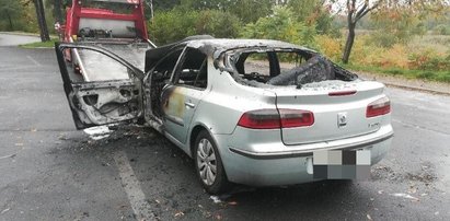 Makabryczne odkrycie. Ciało znalezione w spalonym samochodzie