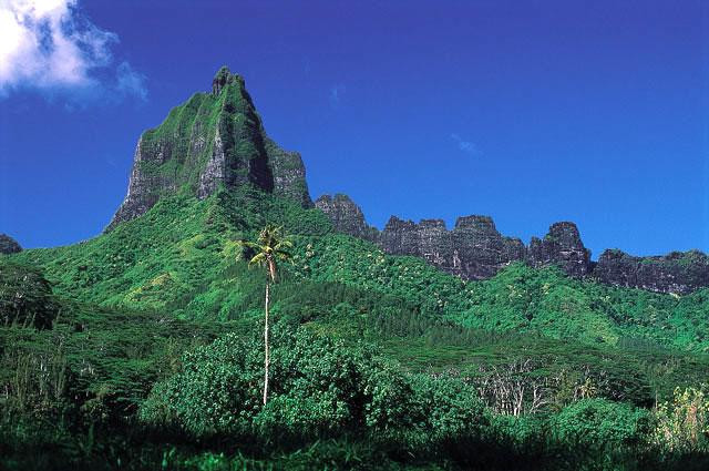 Galeria Polinezja Francuska - Tahiti i inne wyspy, obrazek 50