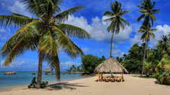 Plaga przestępczości w wakacyjnym raju. 'Porywają cudzoziemców'