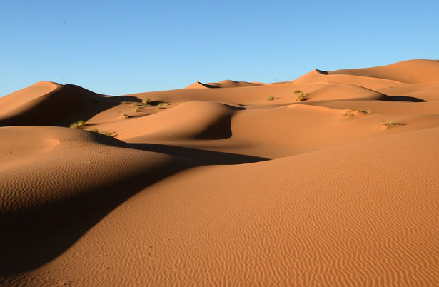 Wydma piaskowa na południu Maroka
