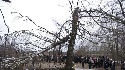 Brzoza , Tu-154, Smoleńsk