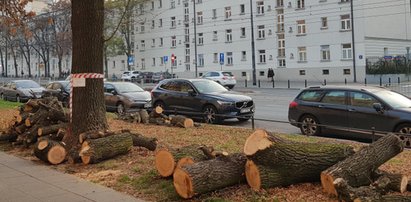 Wielka rzeź na Mickiewicza