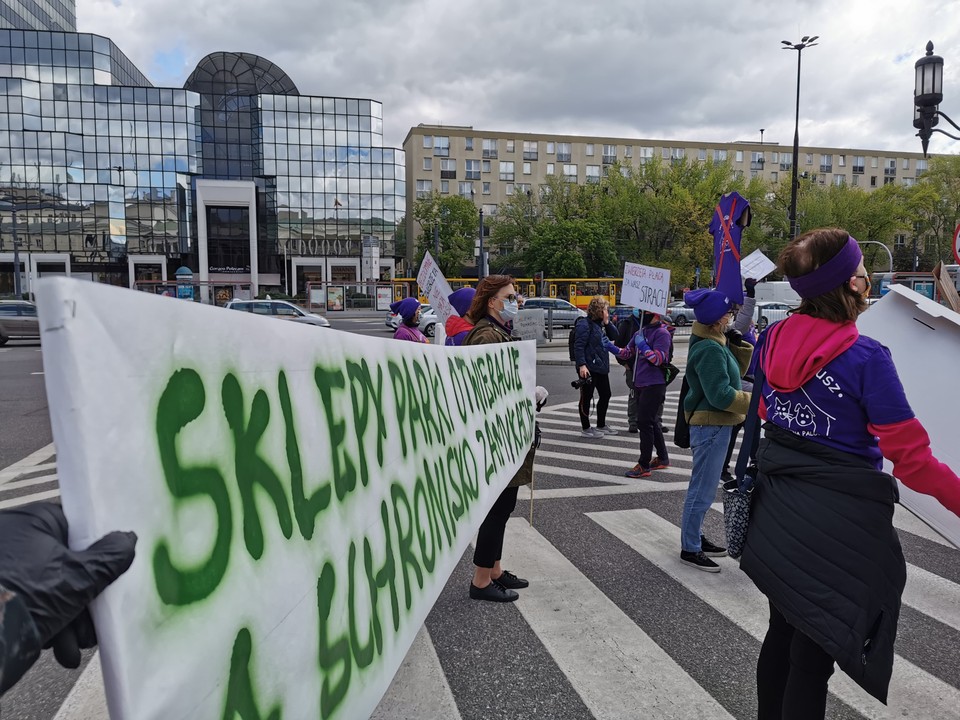 Protest wolontariuszy ze schroniska "Na Paluchu"