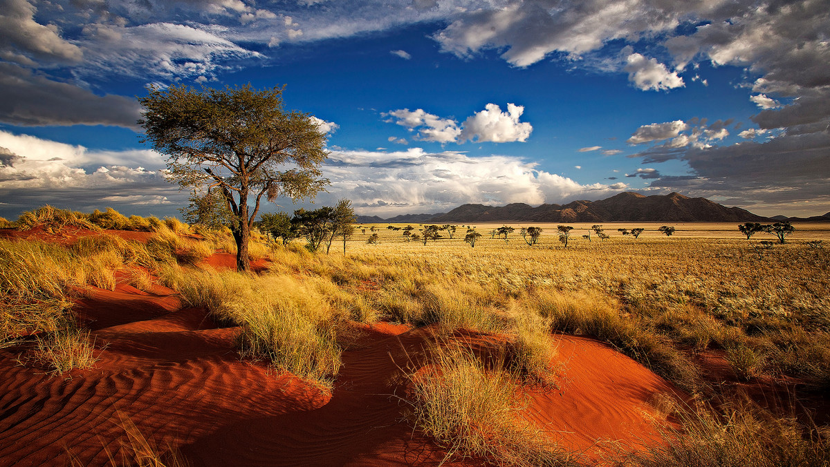 Namibia, czyli wyprawa życia