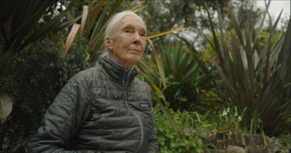 Jane Goodall