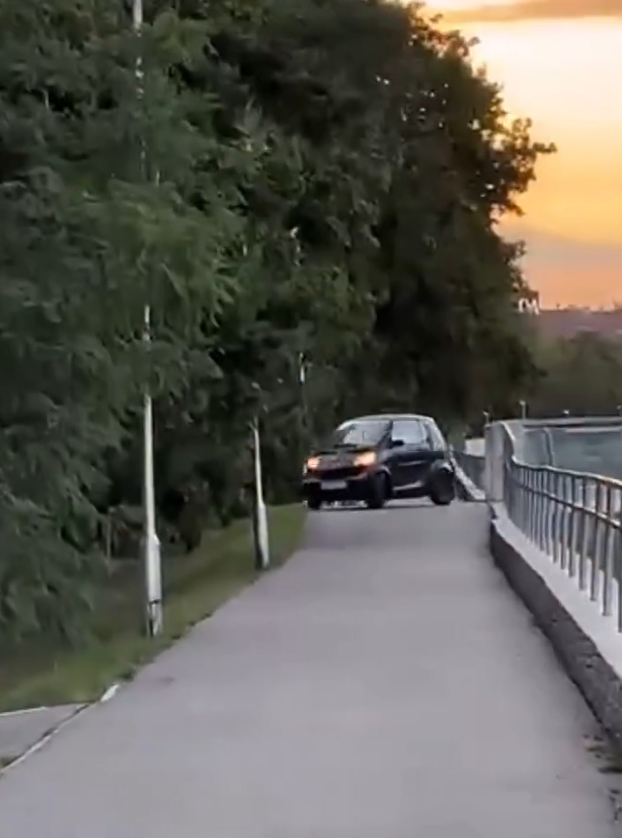 Vodička so Smartom jazdila po chodníku.