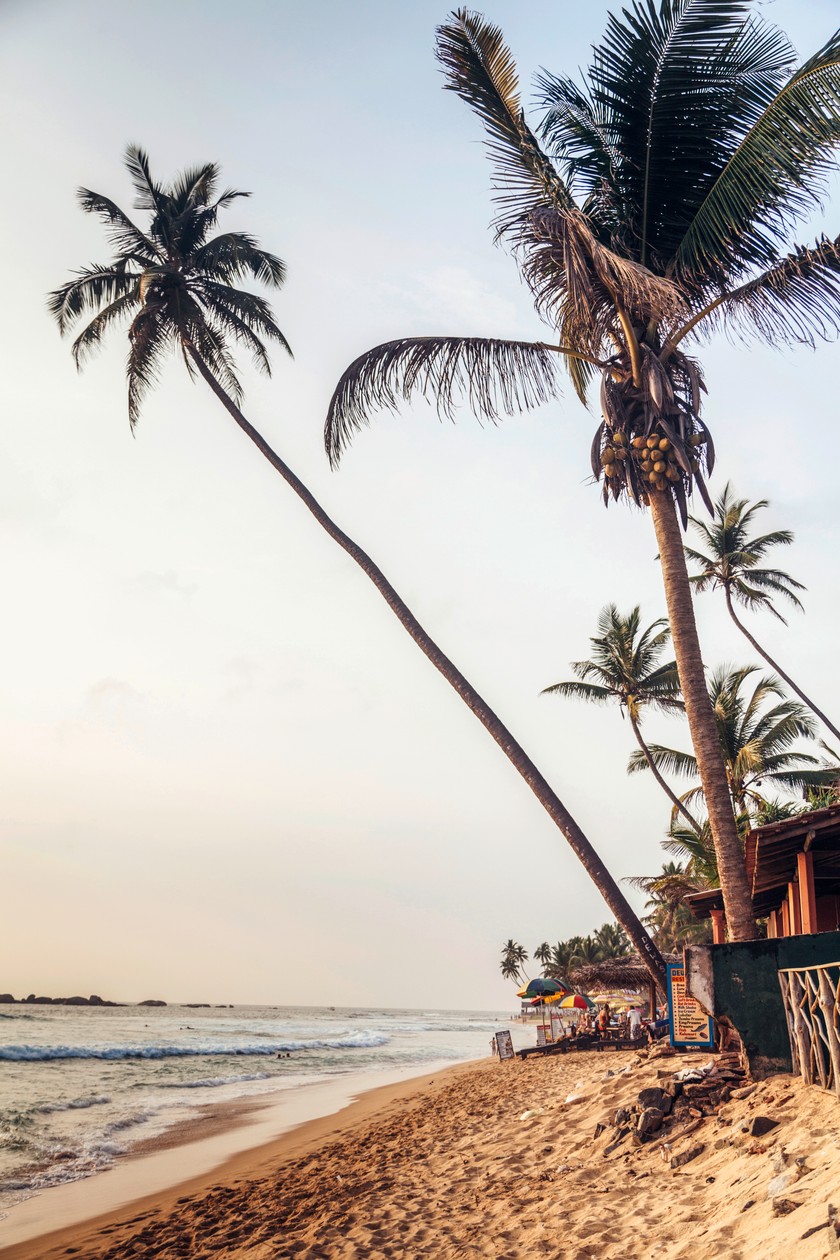 Surfer’s Paradise Der Süden ist für seine perfekten Wellen bekannt. Für sie reisen Surfer aus der ganzen Welt an.