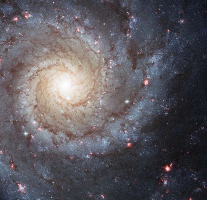 Galaktyka spiralna NGC 628 uchwycona przez Kosmiczny Teleskop Hubble'a