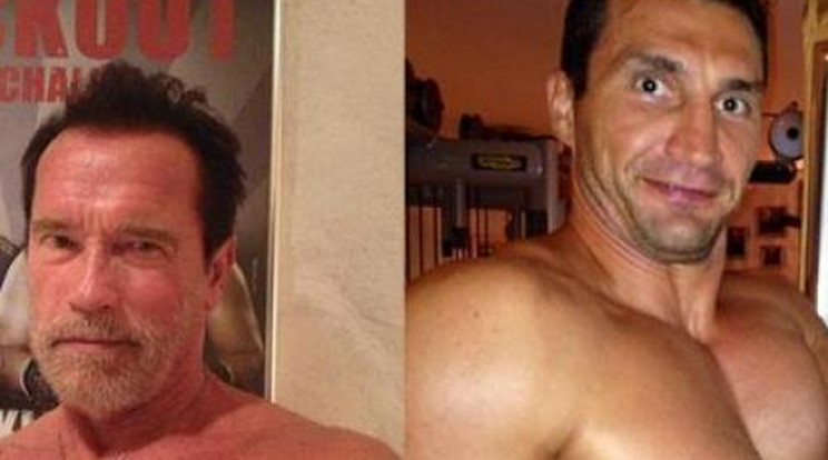 Félmeztelen képekkel üzen Klicsko és Schwarzenegger