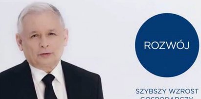 "Druzgocąca" opinia o spotach PiS