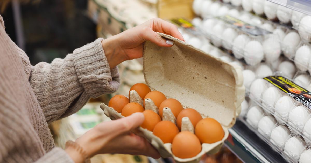 ¿Son los huevos campestres los más saludables?  Los científicos tienen dudas.