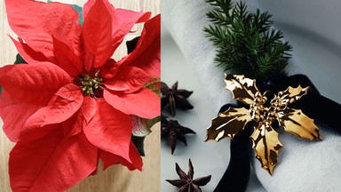 Żywe dekoracje świąteczne - rośliny, którymi warto ozdobić dom na Boże Narodzenie