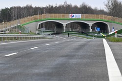 Trasa S6 w nadmorskim pasie. Budują ją najszybciej w Polsce