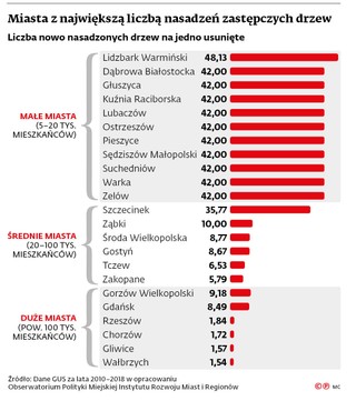 Miasta z największą liczbą nasadzeń zastępczych drzew