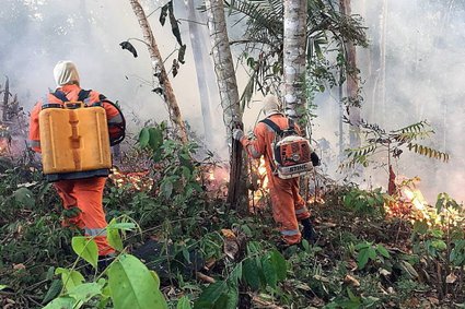 Brazylia nie ma pieniędzy na gaszenie pożarów w Amazonii