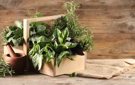 pachnacy-quiz-o-ziolach-majeranek-szalwia-rumianek-100-proc-dla-zaawansowanych