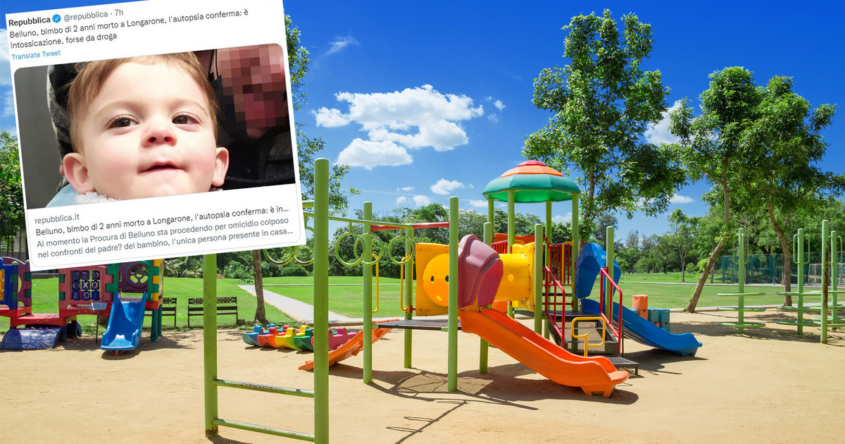 the-dark-secret-of-the-playground-a-2-year-old-boy-returned-home-and-was-dead-in-a-moment