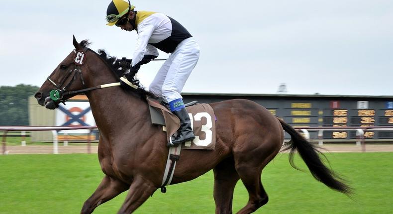 Experience horse racing thrills at Newton Abbot: Enjoy excitement & fun!