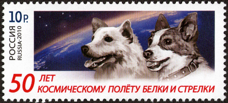 Biełka i Striełka na znaczku pocztowym z okazji 50-lecia ich lotu w kosmos