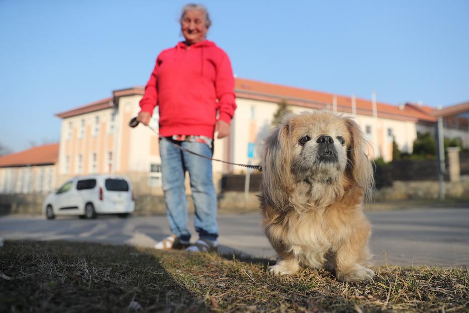 Klári a lakásban tartja Benit, de a belvárosban szívesen sétál vele. /Fotó: Zsolnai Péter