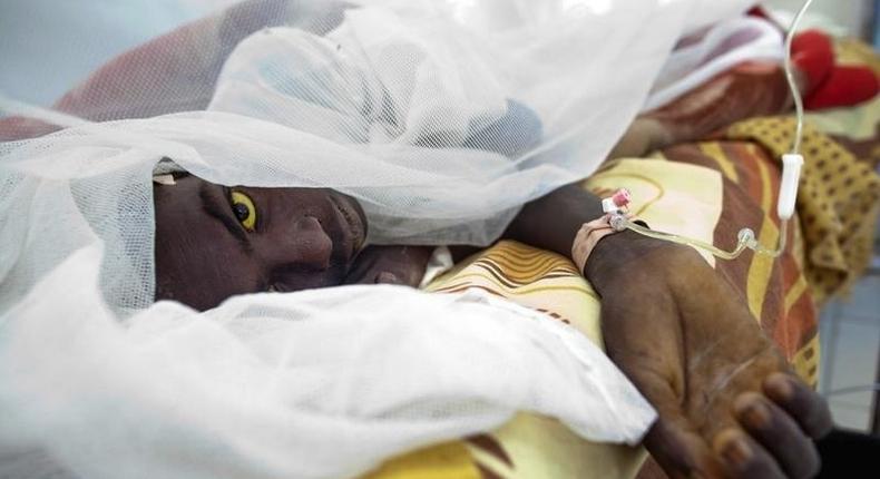 Yellow fever death toll rises to 17 in Bauchi State. REUTERS/Albert Gonzalez Farran/UNAMID/Handout