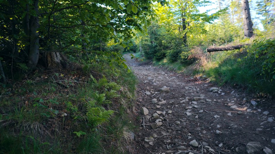 Beskid Żywiecki