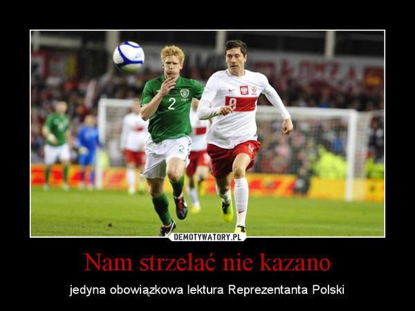 Memy po towarzyskim meczu Polska - Irlandia