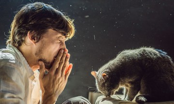 Ez a 6 legelterjedtebb tévedés az allergiával kapcsolatban