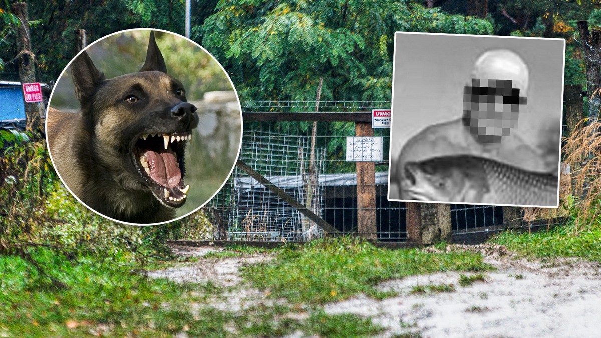 Poszedł na grzyby podczas przerwy w pracy. Rozszarpały go psy. Taka kara grozi właścicielowi