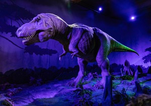 Tiranosaurus reks