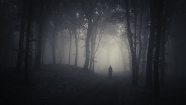 Slenderman - nie tylko miejska legenda?