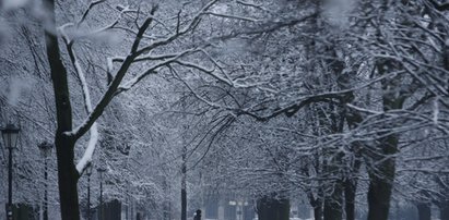 Śnieg na Wszystkich Świętych! Zobaczcie prognozę pogody