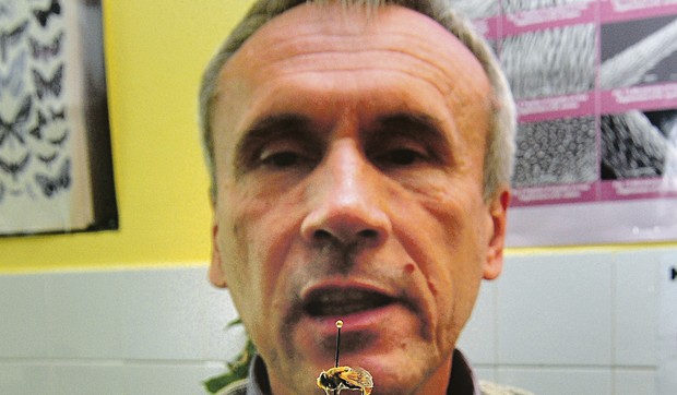 Novi Sad 118 Ante Vujic ekspedicija u juznu Afriku potraga za muvama farma muva foto Robert Getel