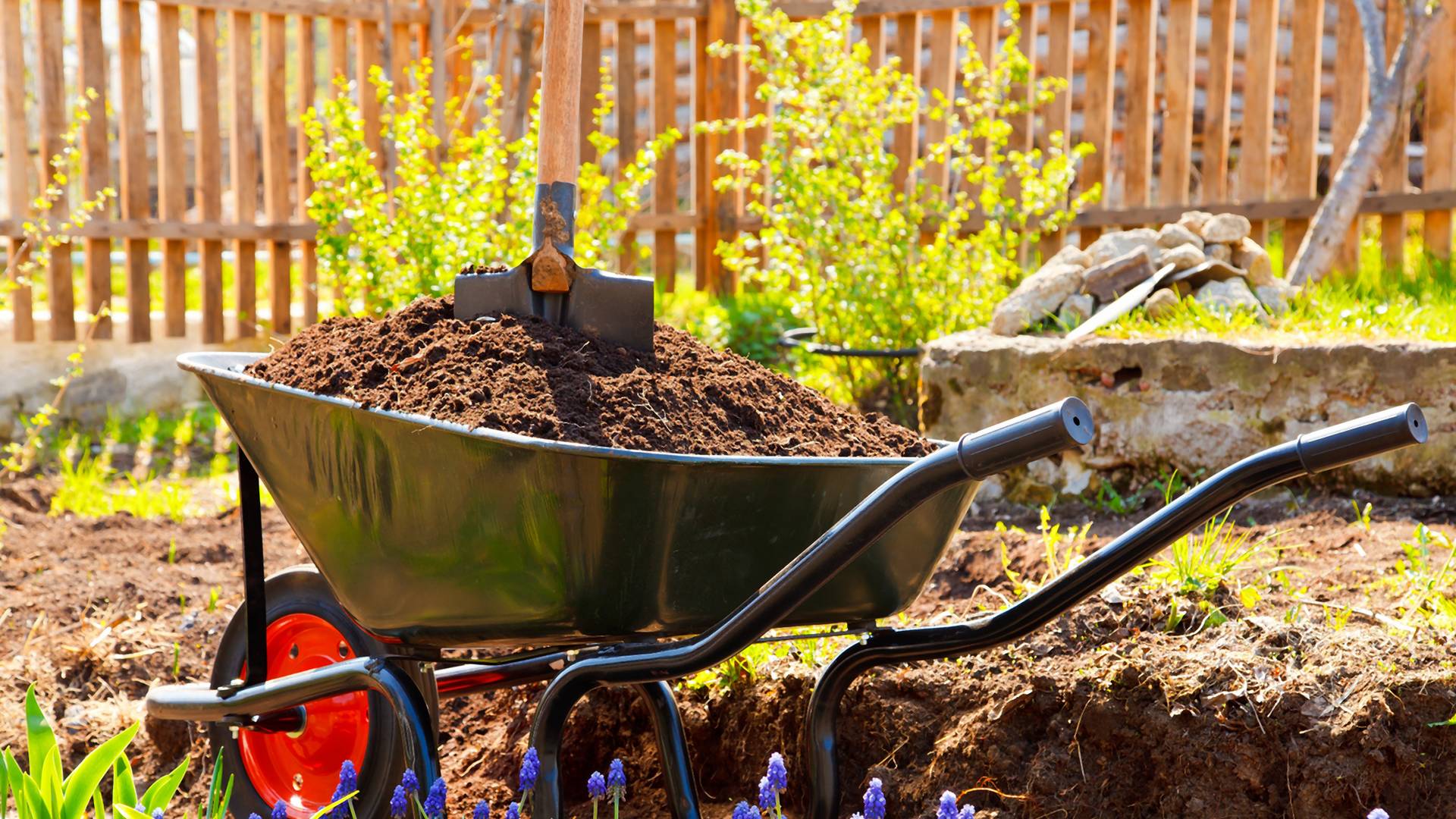 Jak przygotować ogród na wiosnę? Zacznij od prac porządkowych