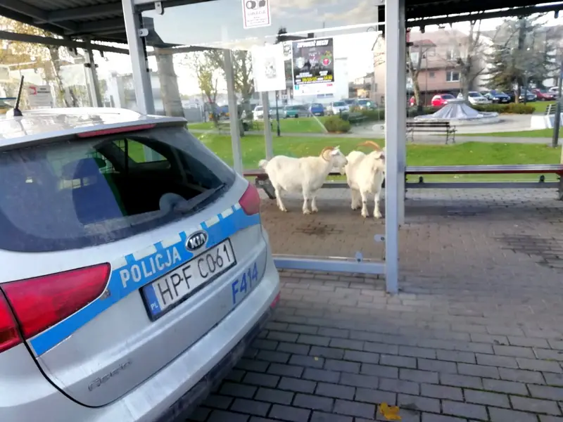 Policja we wtorek odebrała nietypowe zgłoszenie