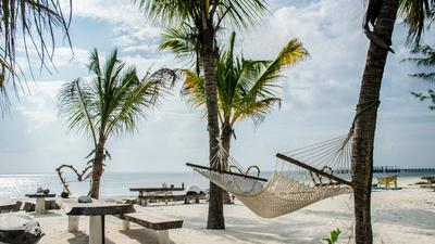Le Zanzibar, petit paradis sur Terre à visiter en fin d'année / Ákos Helgert 