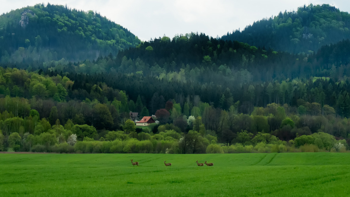 Sarnowa Góra – atrakcje turystyczne 