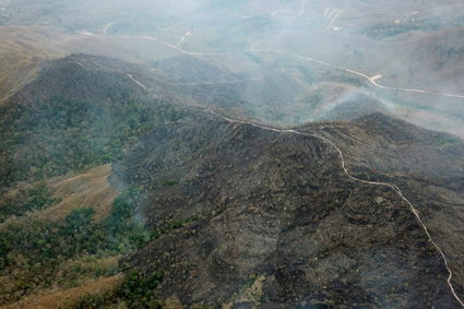 Amazonia płonie. Komisja Europejska oferuje pomoc Brazylii i Boliwii