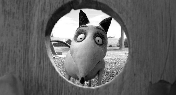 "Frankenweenie" – pies Frankensteina